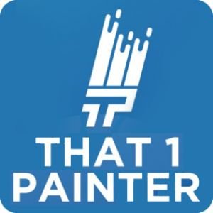 That 1 Painter Twin Cities